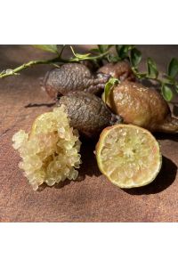 Citron Caviar Microcitrus australasica - 100gr