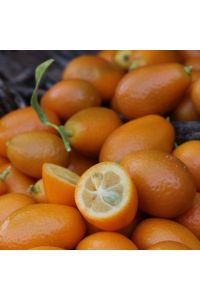 Kumquats 450 g