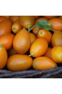 Kumquats 800g