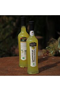 Limoncello Bio au Citron de Menton