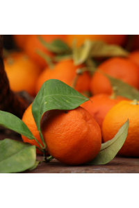 Oranges Amères (Bigarade) - 4,5kg