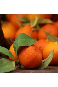 Oranges Amères BIO (Bigarade) - 4,5kg