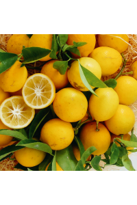 Citrons Meyer BIO 4,5 kg